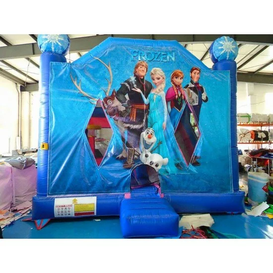 Frozen Bounce House Slide Combo, Frozen Bounce House With Slide For Sale.