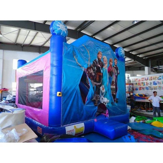 Frozen Bounce House Slide Combo, Frozen Bounce House With Slide For Sale.