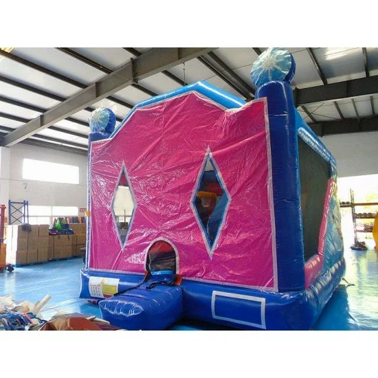 Frozen Bounce House Slide Combo, Frozen Bounce House With Slide For Sale.
